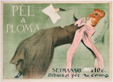 pelandpaloma